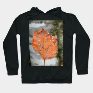 Single Leaf Hoodie